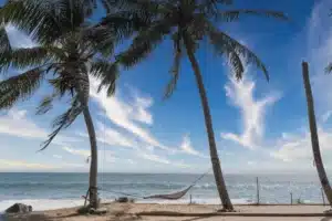 Belle plage au Sri Lanka avec du sable blanc et des eaux cristallines, découvrez lors d’un voyage sur mesure avec FTO